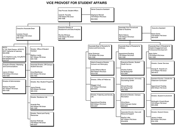 Vice Provost for Student Affairs organizational flowchart; text included below.