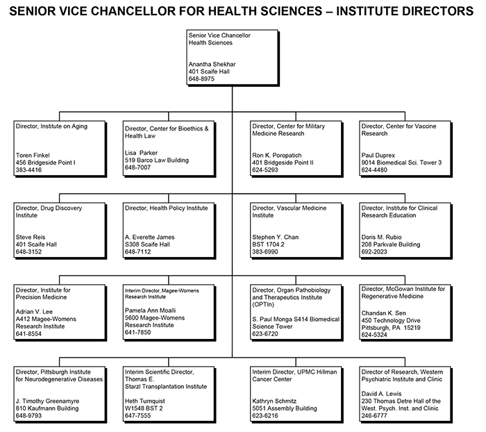 Senior Vice Chancellor for Health Sciences – Institute Directors organizational flowchart; text included below.