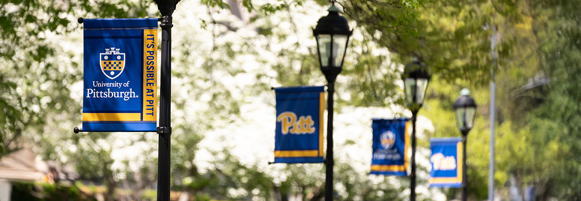 series of branded banners reading It's Possible at Pitt hanging from lamp posts on campus.
