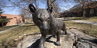panther statue on Pitt-Bradford campus