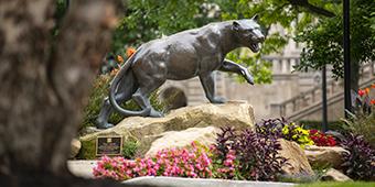 Panther statue standing on rocky base surrounded by summer flowers.