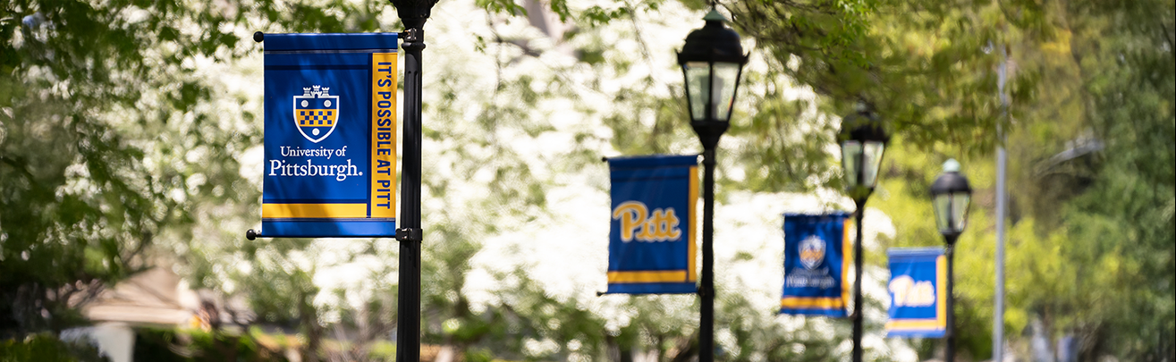 series of branded banners reading It's Possible at Pitt hanging from lamp posts on campus.